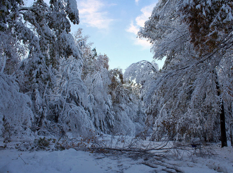 Connecticut cities and towns wasted at least $20 million because of state storm-cleanup contract